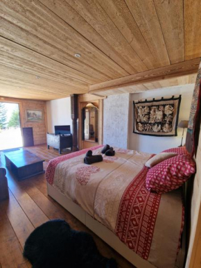 Appartement Atypique Saxel